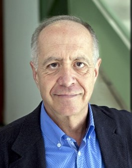 Prof Palacios